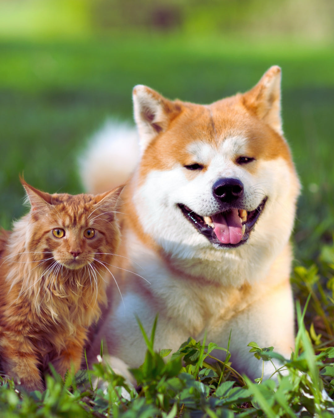 DESTACADOS DE LA TEMPORADA