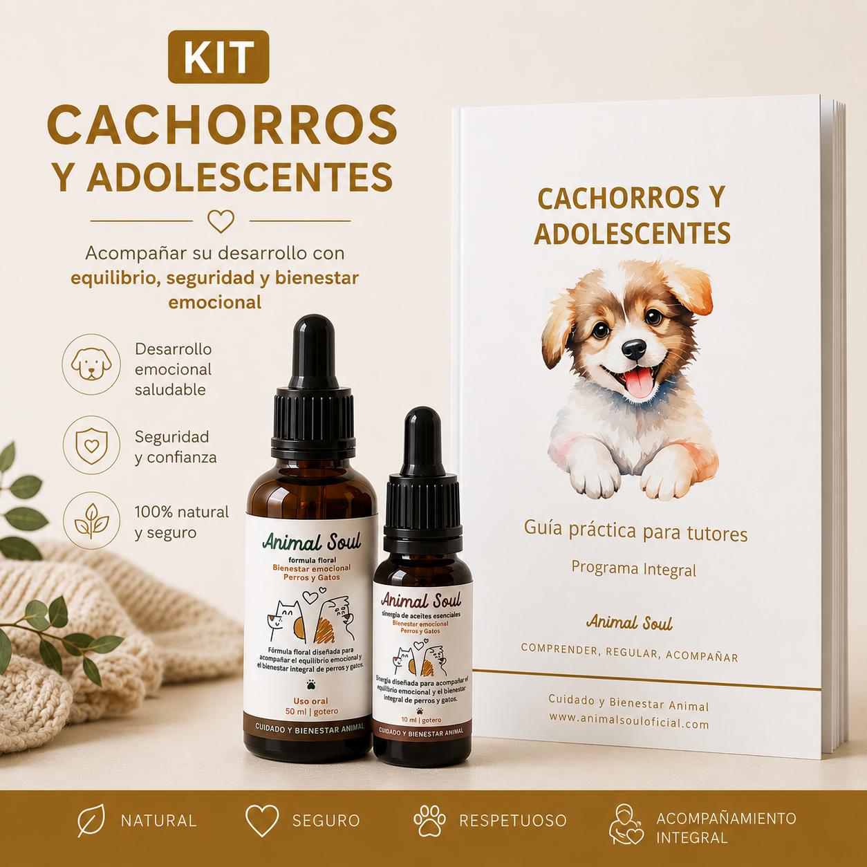 Kit Cachorros