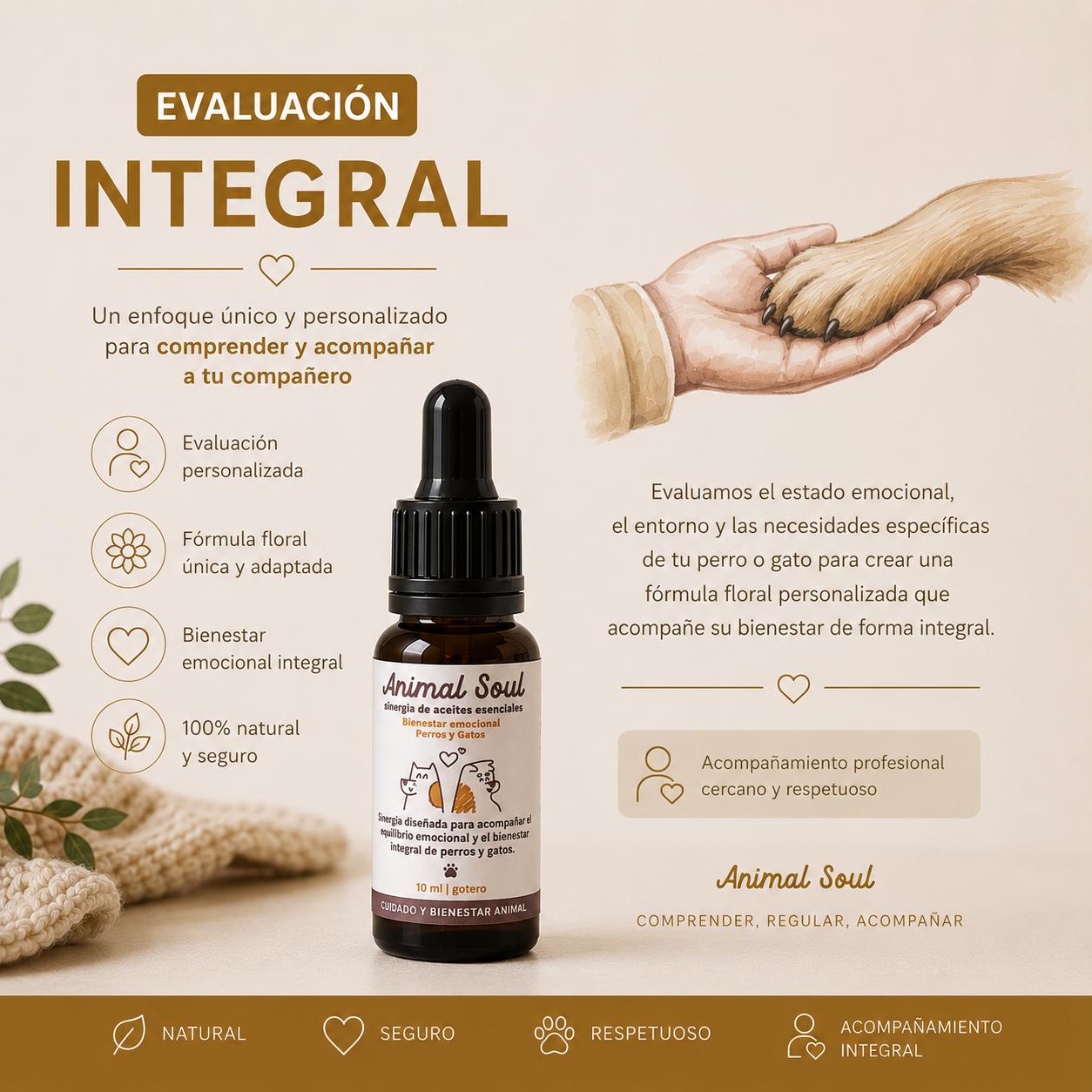 ESPACIO DE EVALUACION INTEGRAL