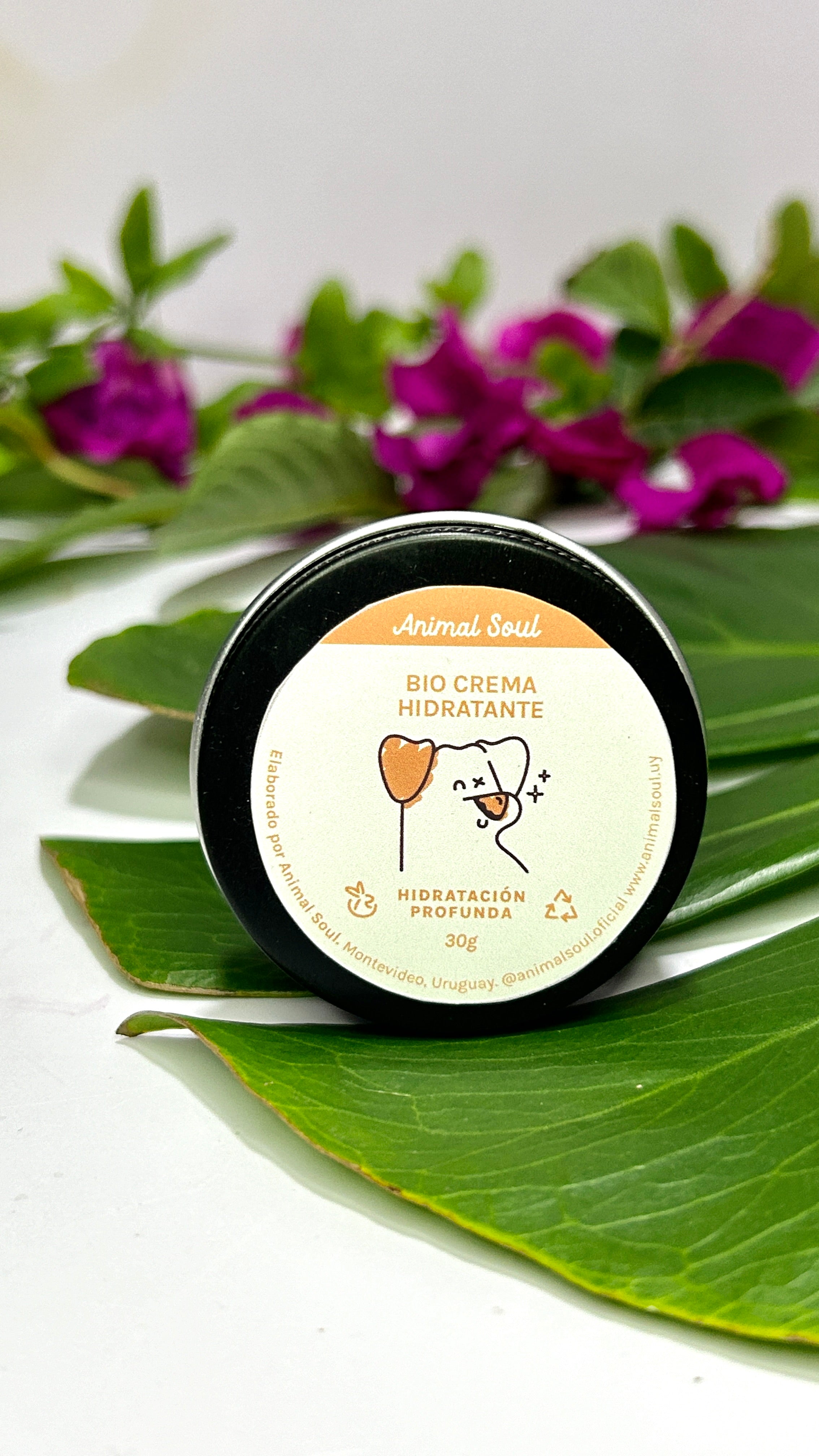 BIO CREMA HIDRATANTE