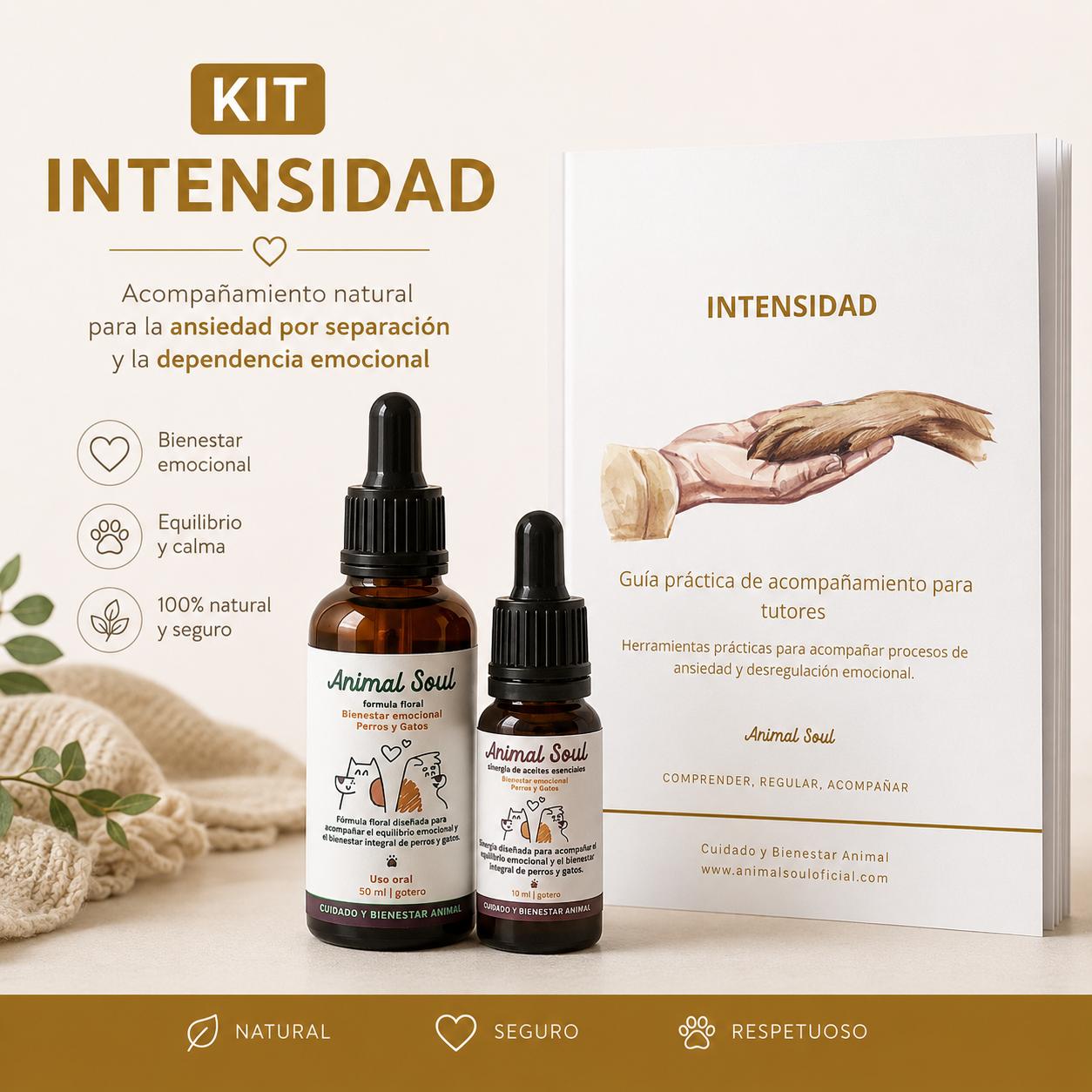 Kit Intensidad