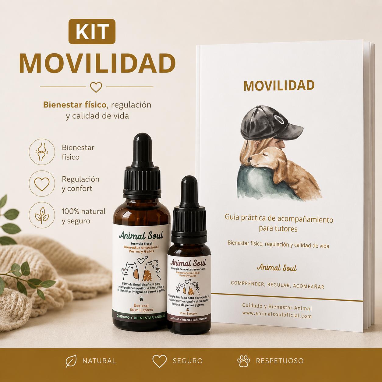 Kit Movilidad