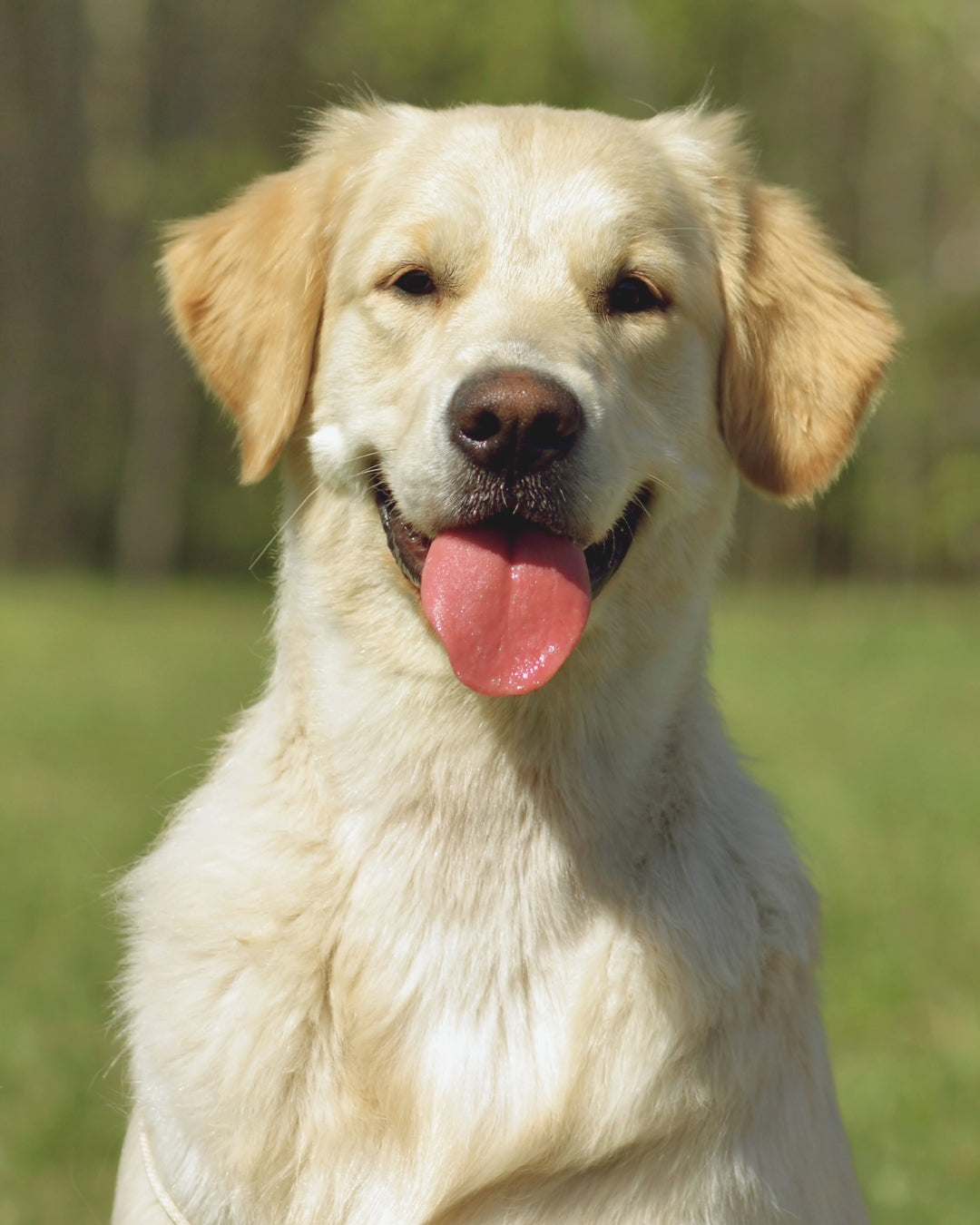 EVALUACION EMOCIONAL Y CONDUCTUAL