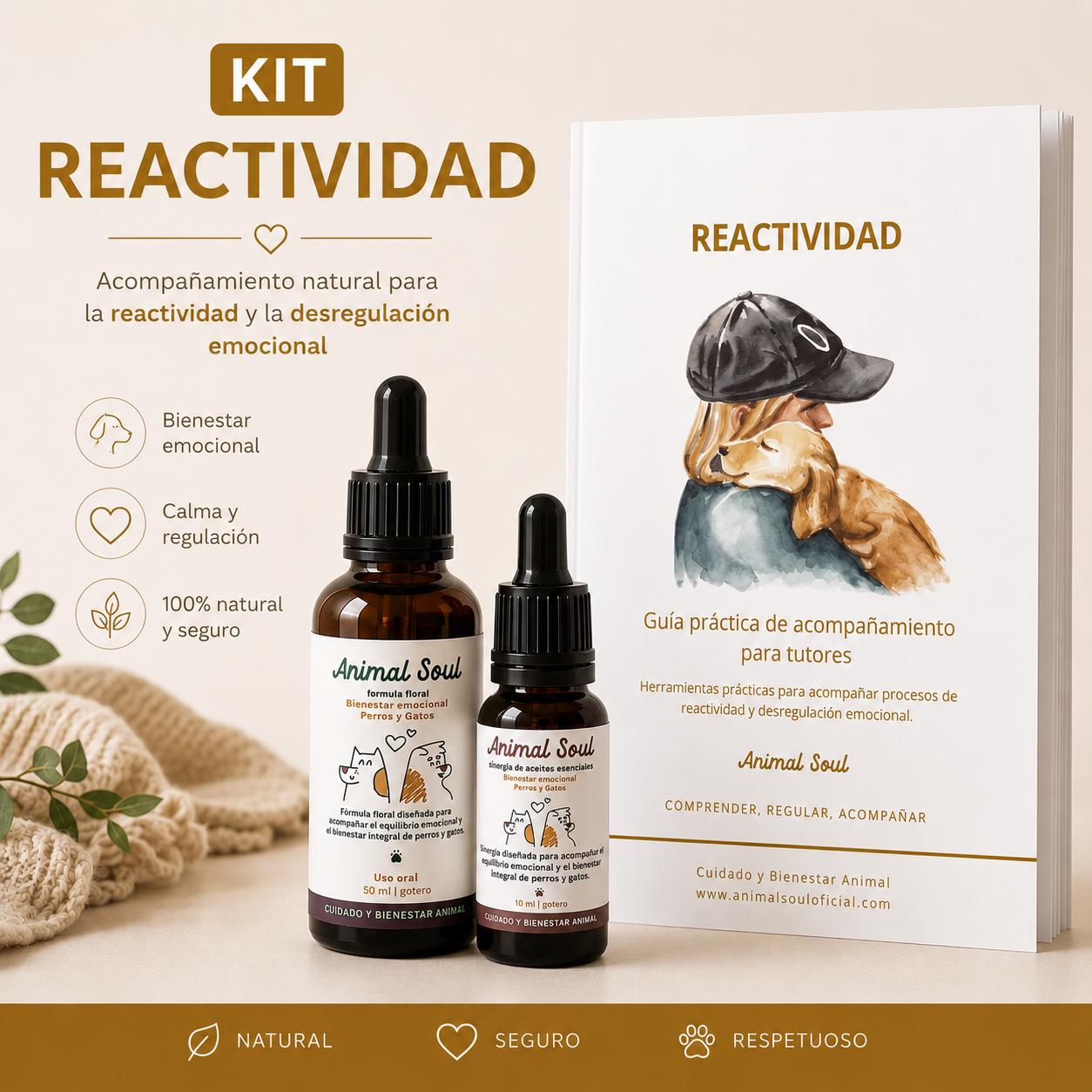 Kit Reactividad